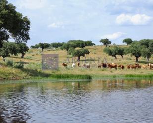 Finca rústica en venda en Plasencia