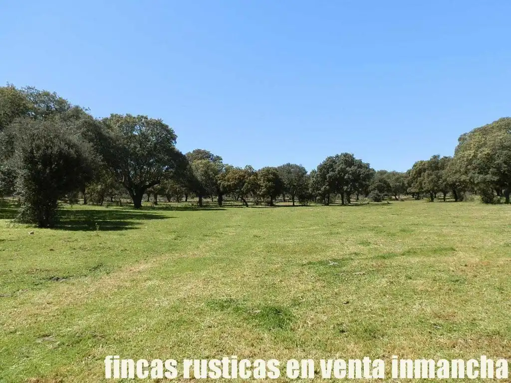 Terreno rustico in vendita a Ciudad Rodrigo, imagen 27