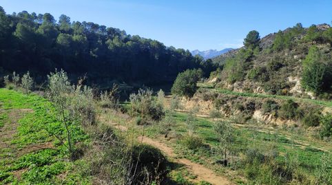 Foto 5 de Casa o chalet en venta en Avinguda Lluís Companys, 13, Benifallet, Tarragona