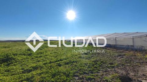 Photo 5 of Land for sale in Lebrija, Sevilla