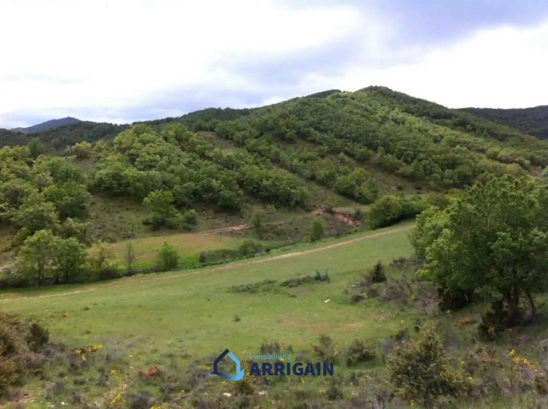Casa o chalet en venta en La Moraleja con Jardín privado