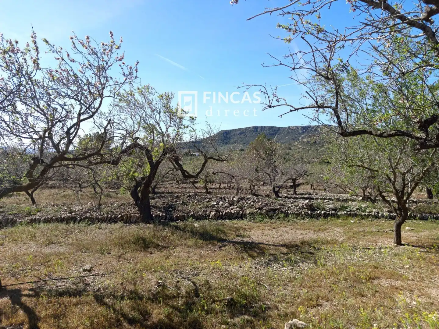Landhaus zum Verkauf in RJGC+P9 Coll de l'Alba, imagen 32