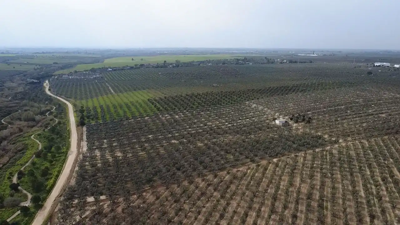 Terreno en venta en Bormujos