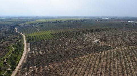 Photo 4 of Land for sale in Cañada Real de las Islas, Zona Universitaria, Bormujos