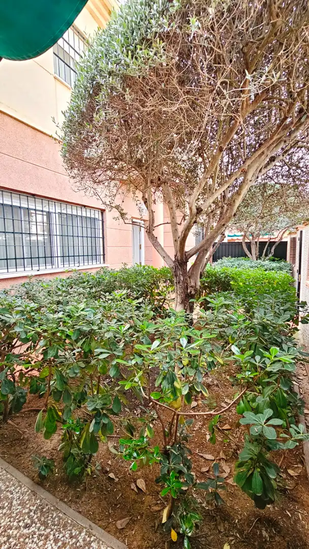 Maison jumelée avec piscine à vendre à Espartinas Pueblo, imagen 44