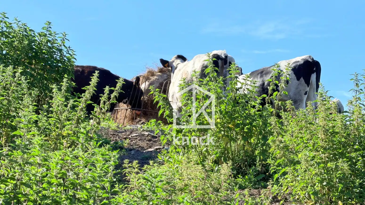 Casa o xalet en venda en Valdés - Luarca amb Calefacció i Jardí privat