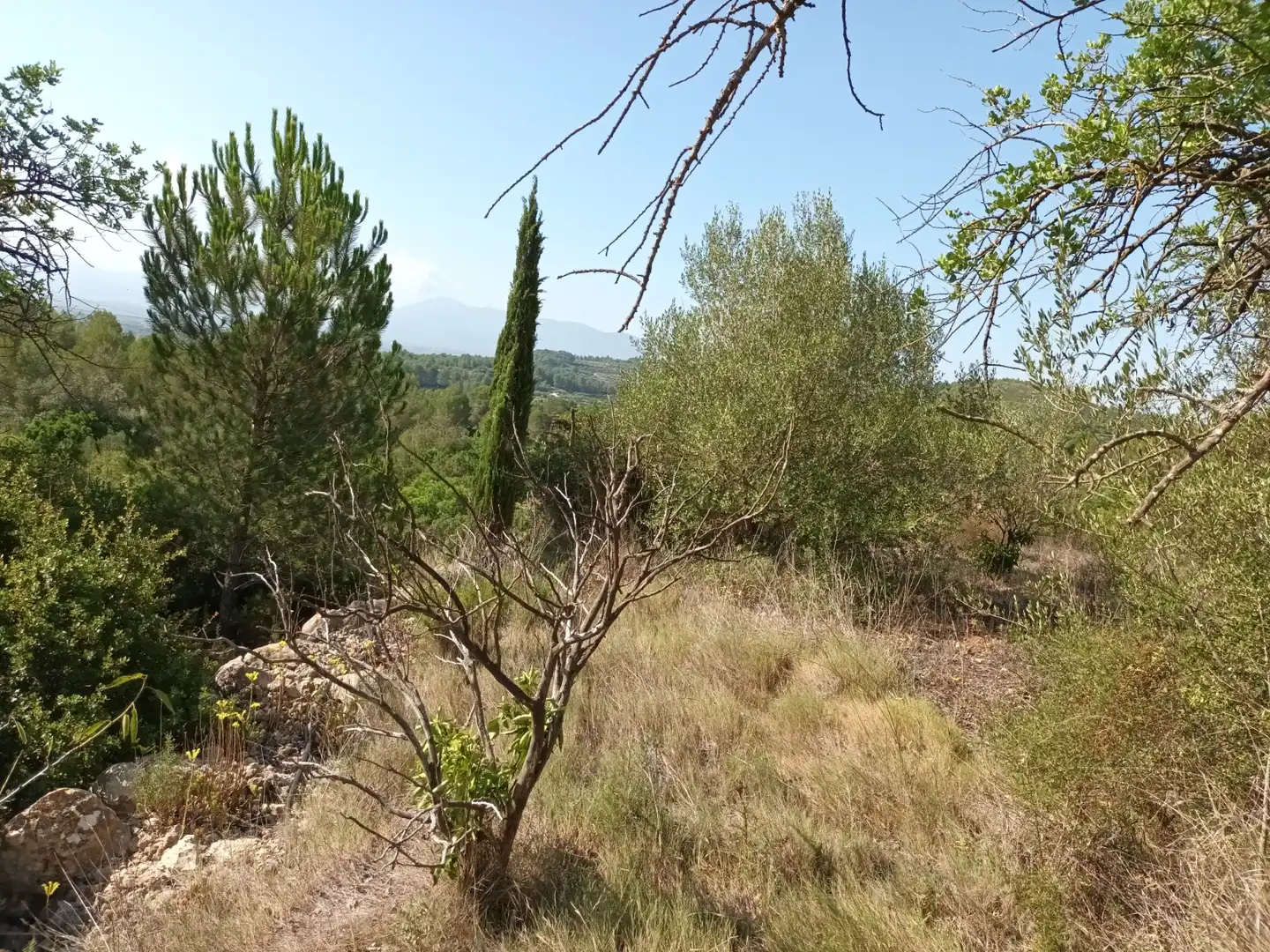 Terreno en venta en Benigànim