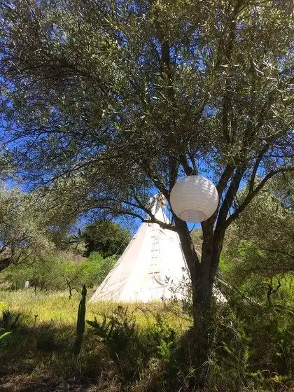 Casa rústica con piscina en venta en Pizarra, imagen 21