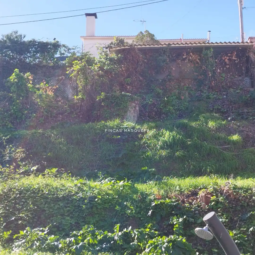 Terrain rustique à vendre à can parellada, imagen 11