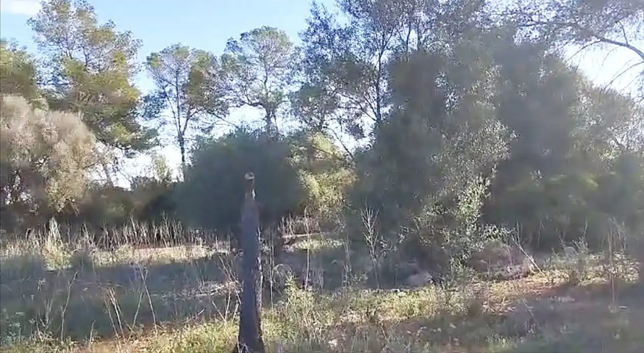 Terreno rustico in vendita a 0, imagen 6
