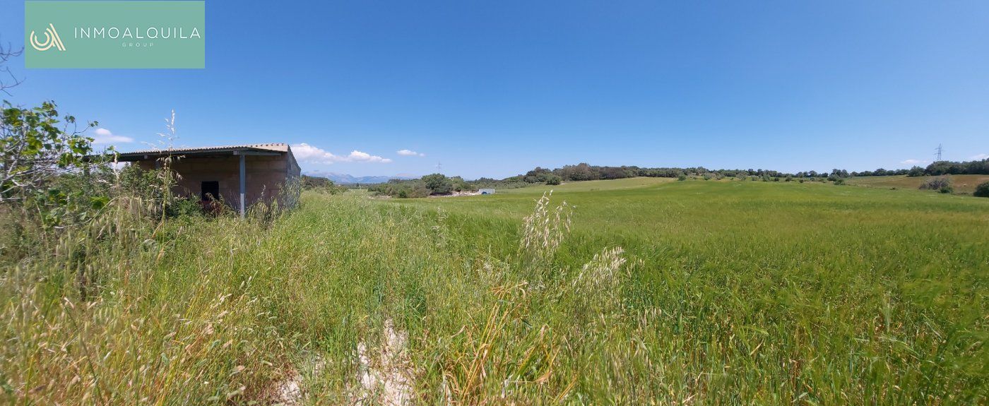 Finca rústica en venta en Sineu con Terraza
