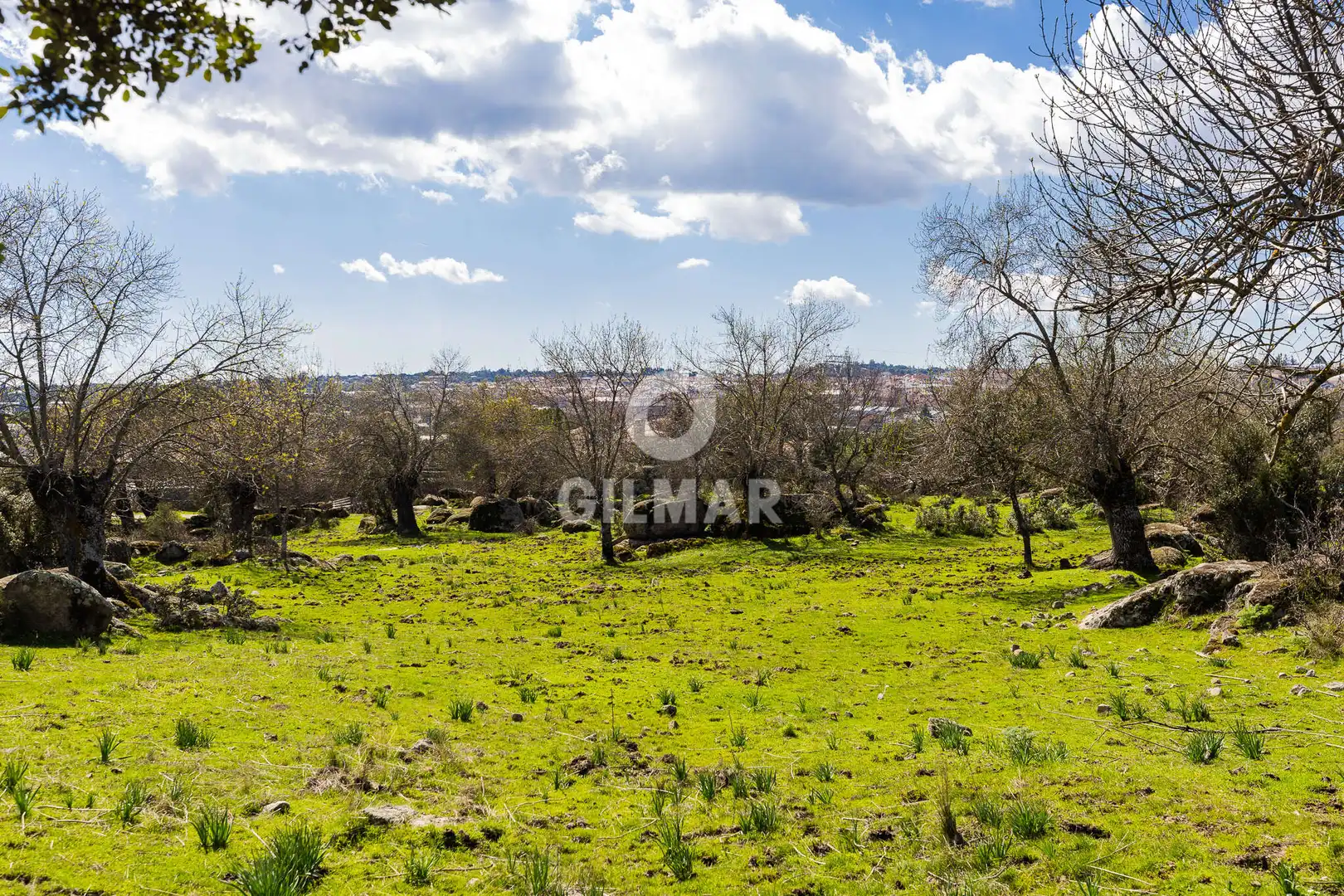 Terreno residencial en venta en La Navata, imagen 10