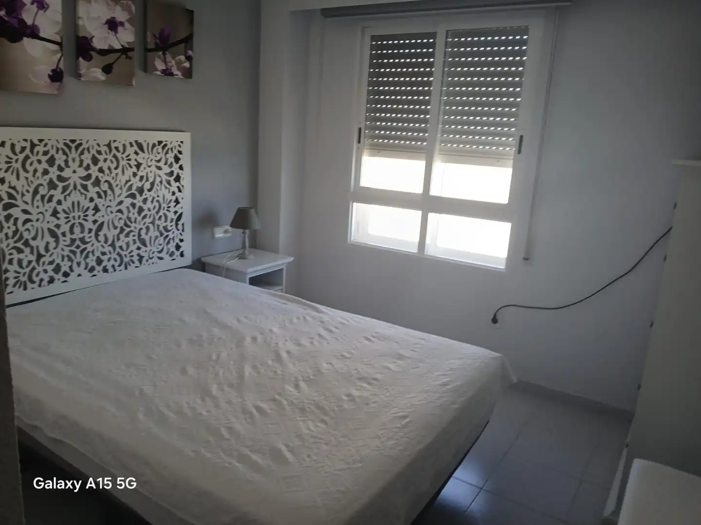 Apartament amb piscina de lloguer a Calle MUSICO ANTON ROCH, imagen 6
