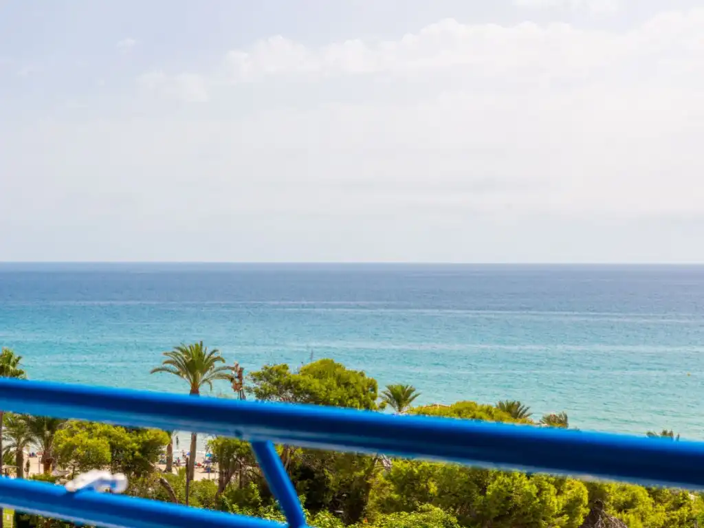 Apartamento con piscina en venta en Calle Magraner, Del, imagen 2