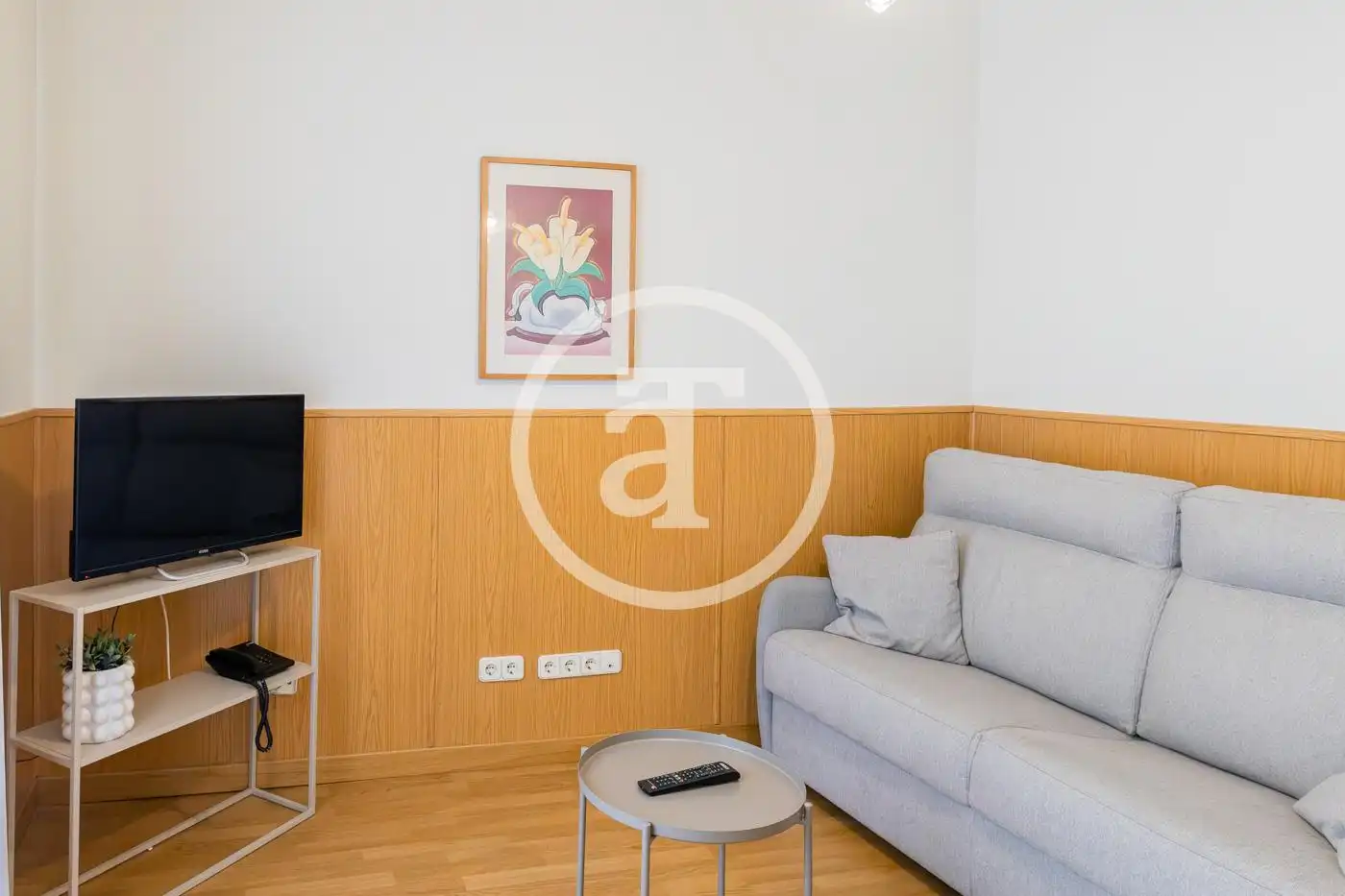 Sala de estar de Piso de alquiler en Madrid con Aire acondicionado, Calefacción y Amueblado