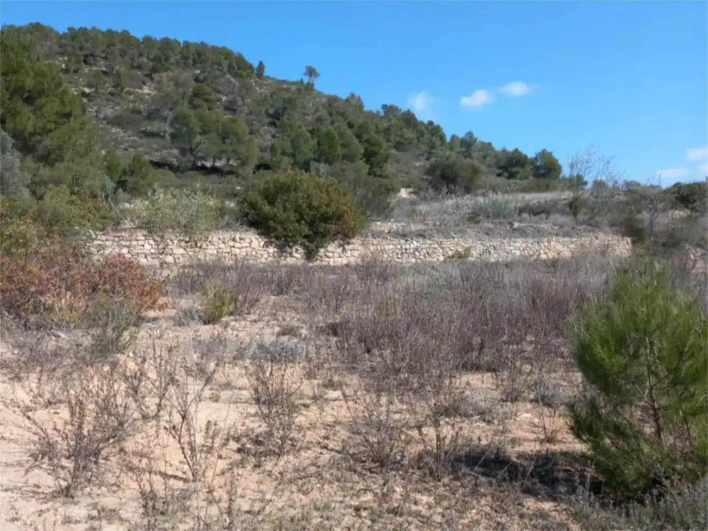 Terreno en venta en Corbera d'Ebre