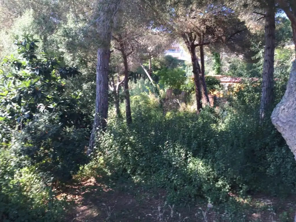 Wohnbaugrundstück zum Verkauf in Calle Benidorm, imagen 4