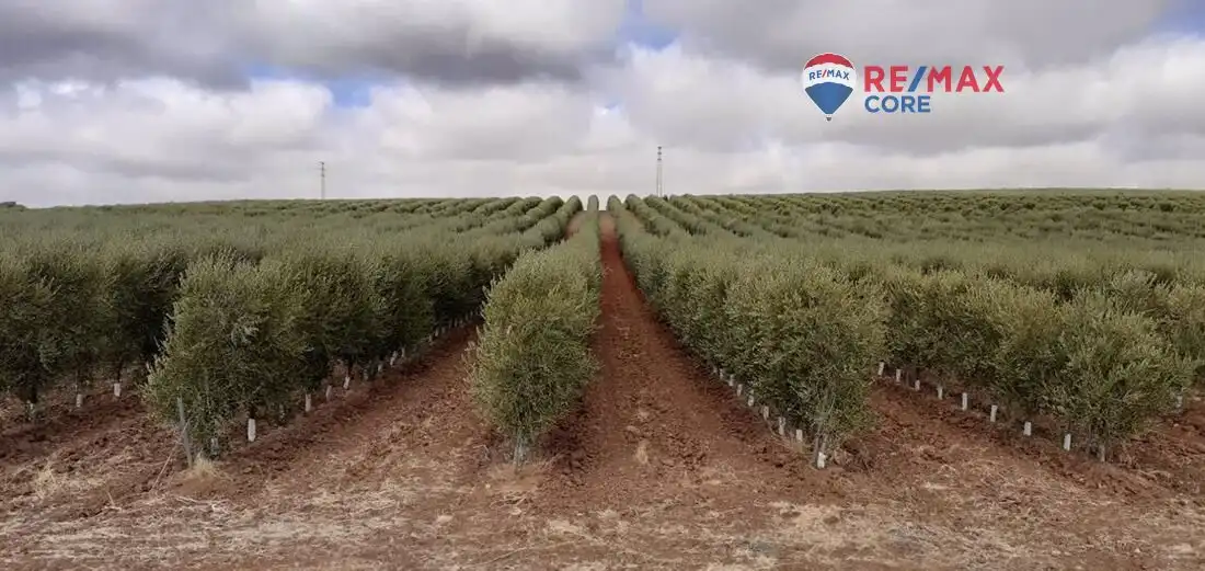 Terreno en venta en Alange