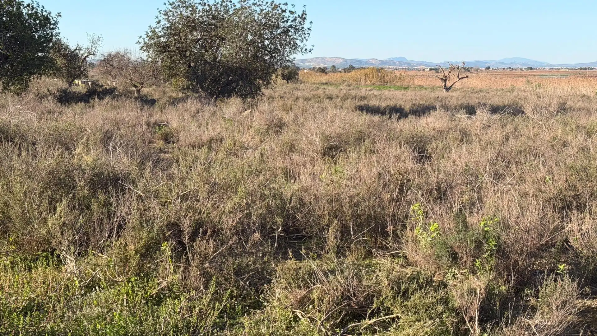 Terreno residencial en venta en La Marina, imagen 10