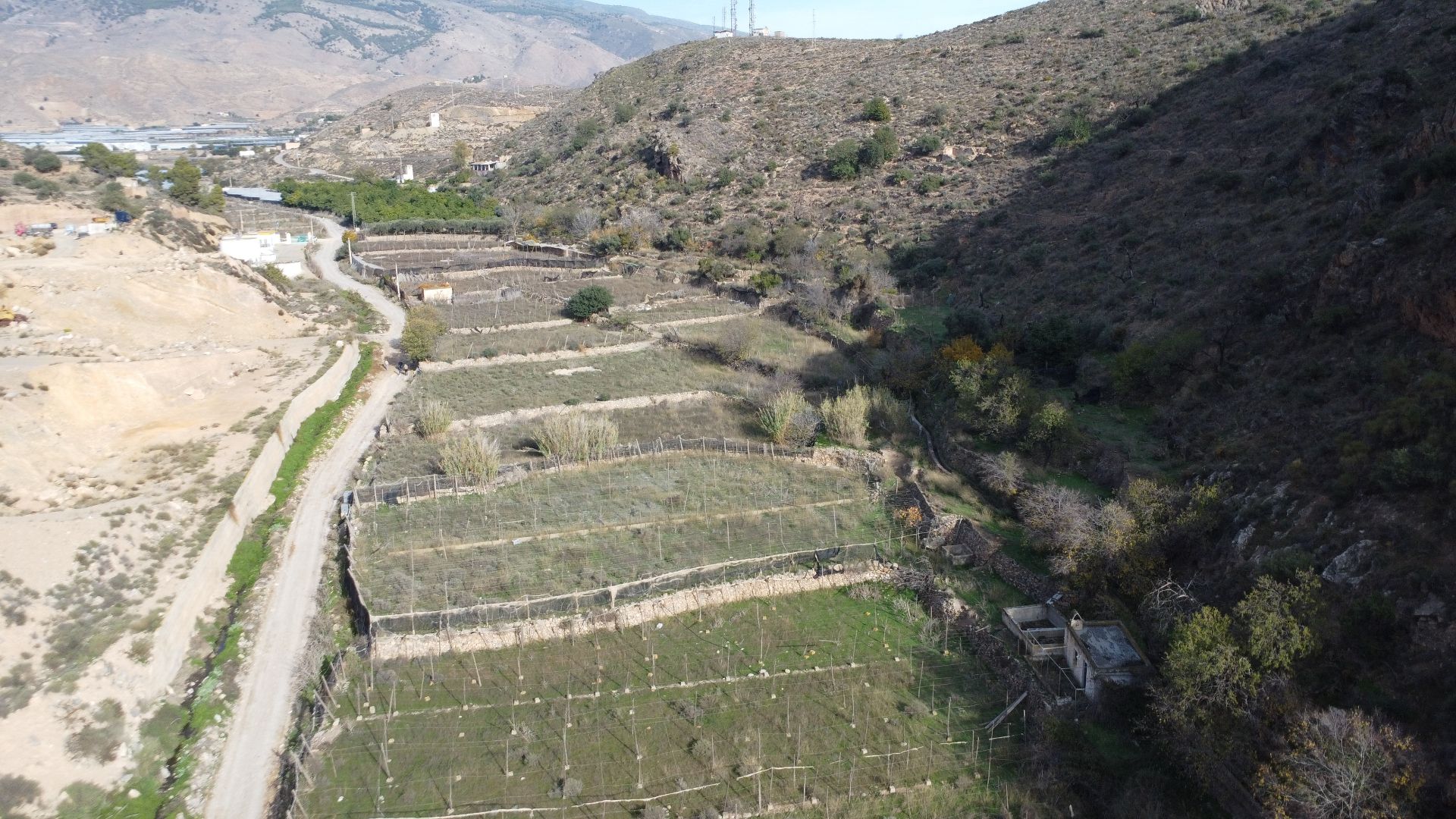 Terreno en venta en Dalías