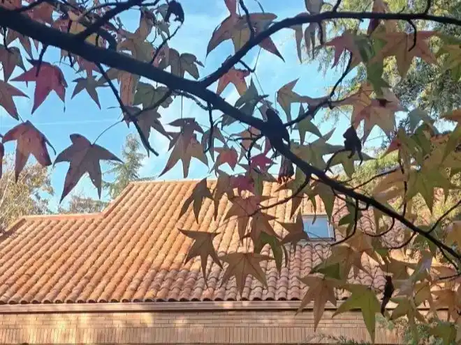 Vista exterior de Casa o xalet en venda en Colmenarejo amb Balcó