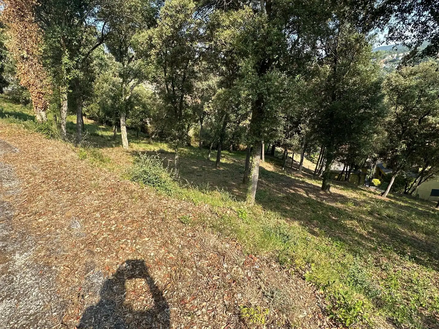 Residencial en venta en Santa Maria de Palautordera
