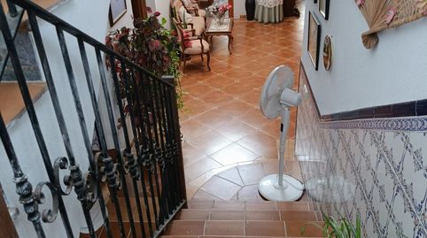 Foto 3 de Casa o xalet en venda a San Isidro - Campohermoso, Níjar