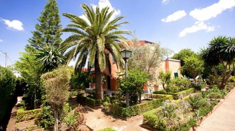 Foto 4 de Casa o xalet de lloguer a La Paz, Sevilla