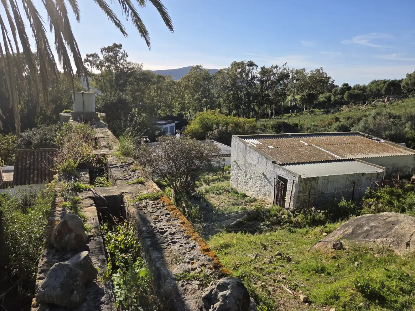 Exterior view of Country homes for sale in Tarifa ciudad