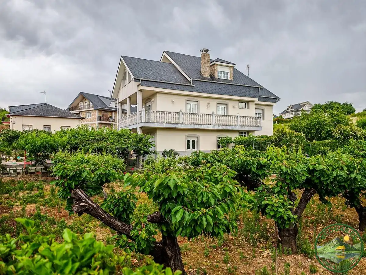 Vista exterior de Casa o chalet en venta en Cacabelos con Calefacción, Jardín privado y Terraza