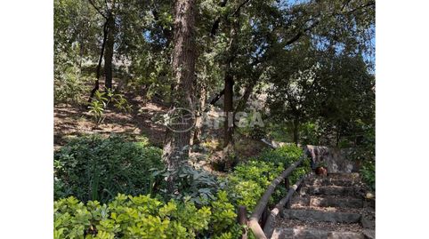 Foto 5 de Residencial en venta en Sant Pere de Vilamajor, Barcelona