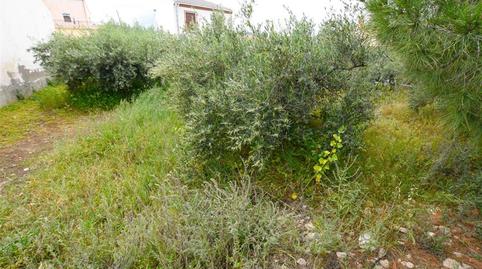 Photo 3 of Residential for sale in Guazamara - Los Lobos, Almería