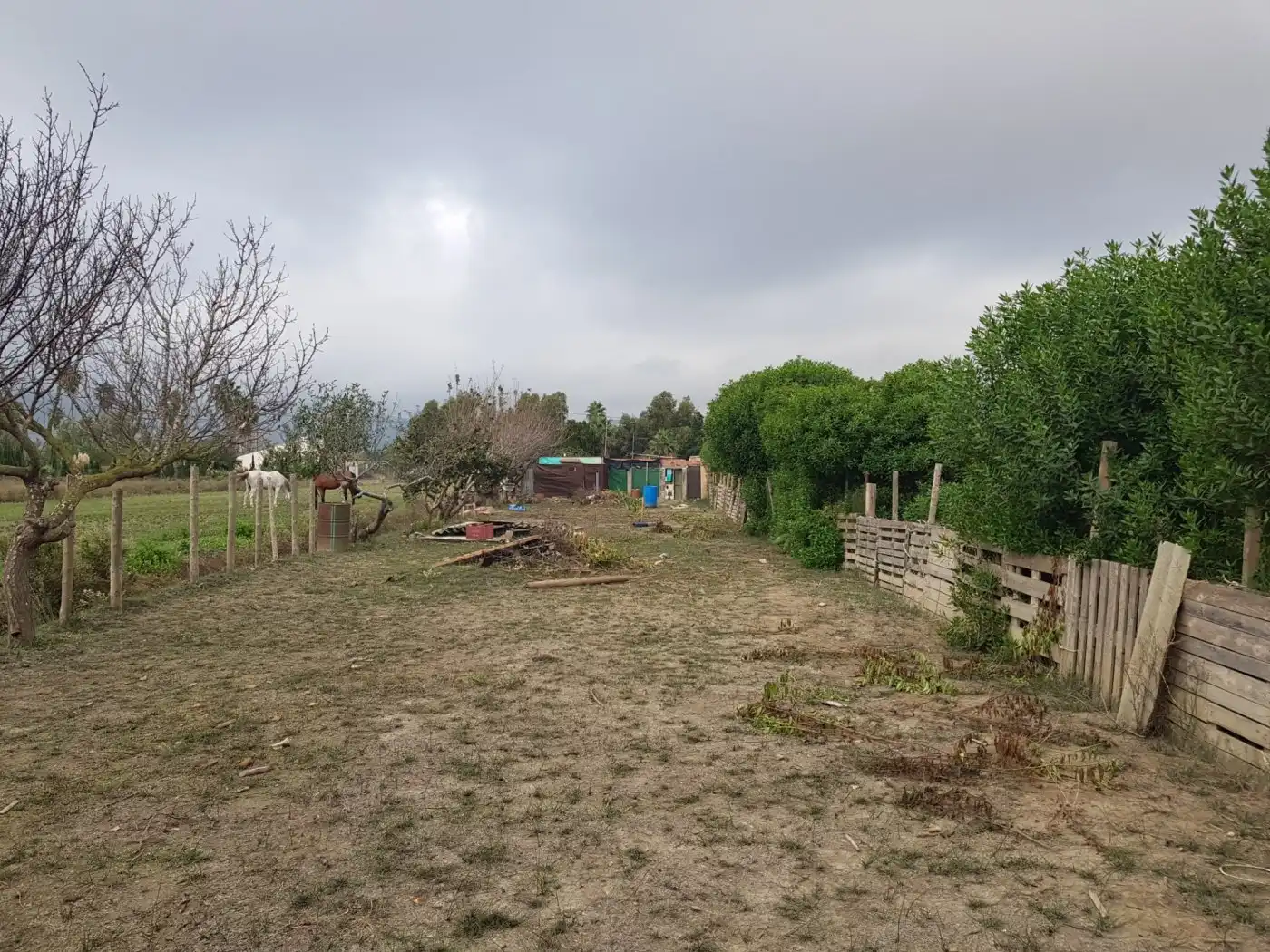 Maison rustique à vendre à Eucaliptus- Poble Nou del Delta, imagen 35