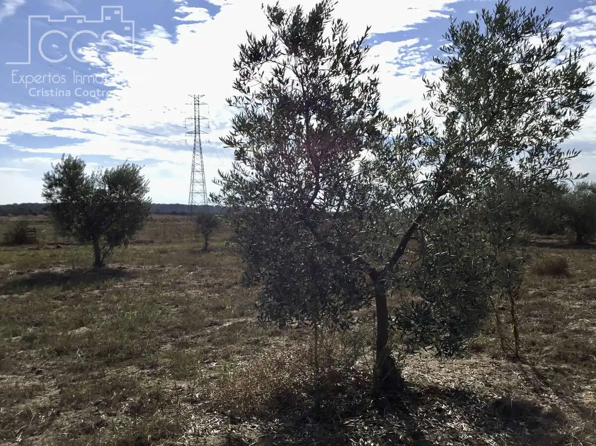 Casa rústica en venda a Almonte ciudad, imagen 62