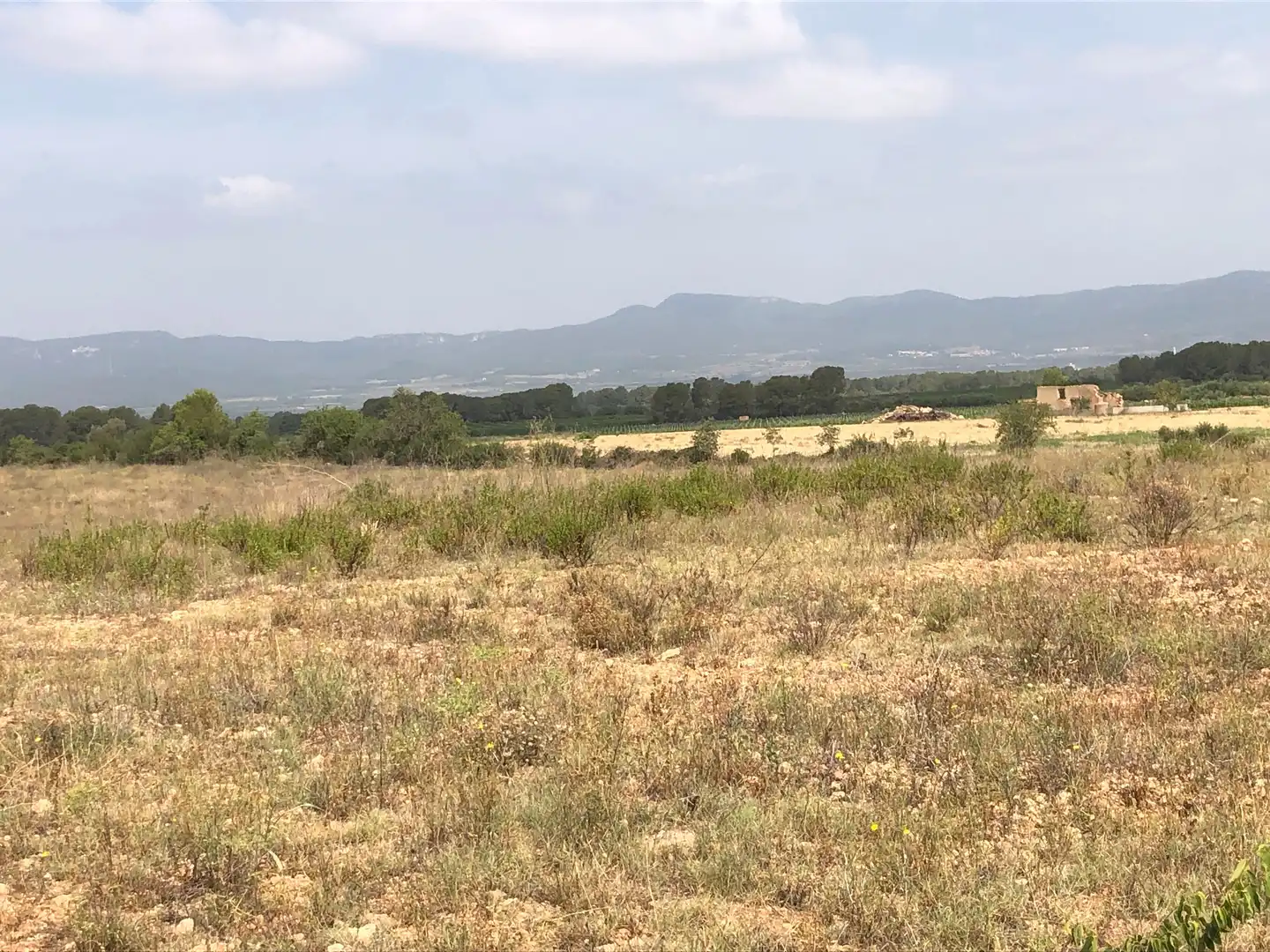 Terreno rústico en venta en Vila-rodona, imagen 13