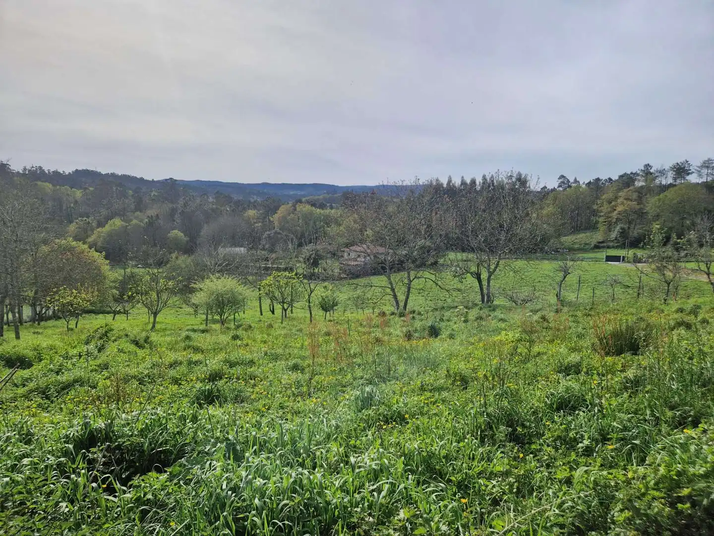 Grundstücke und Bauplätze zum Verkauf in Área de Ames