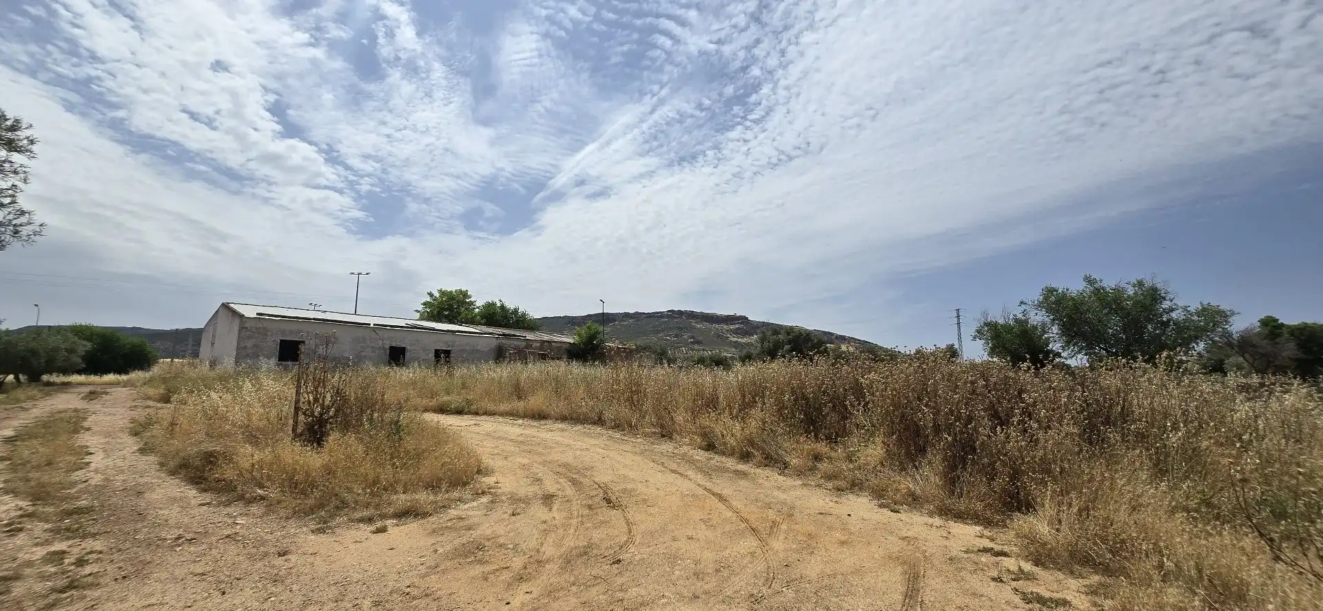 Terreno rustico in vendita a Argamasilla de Calatrava, imagen 8