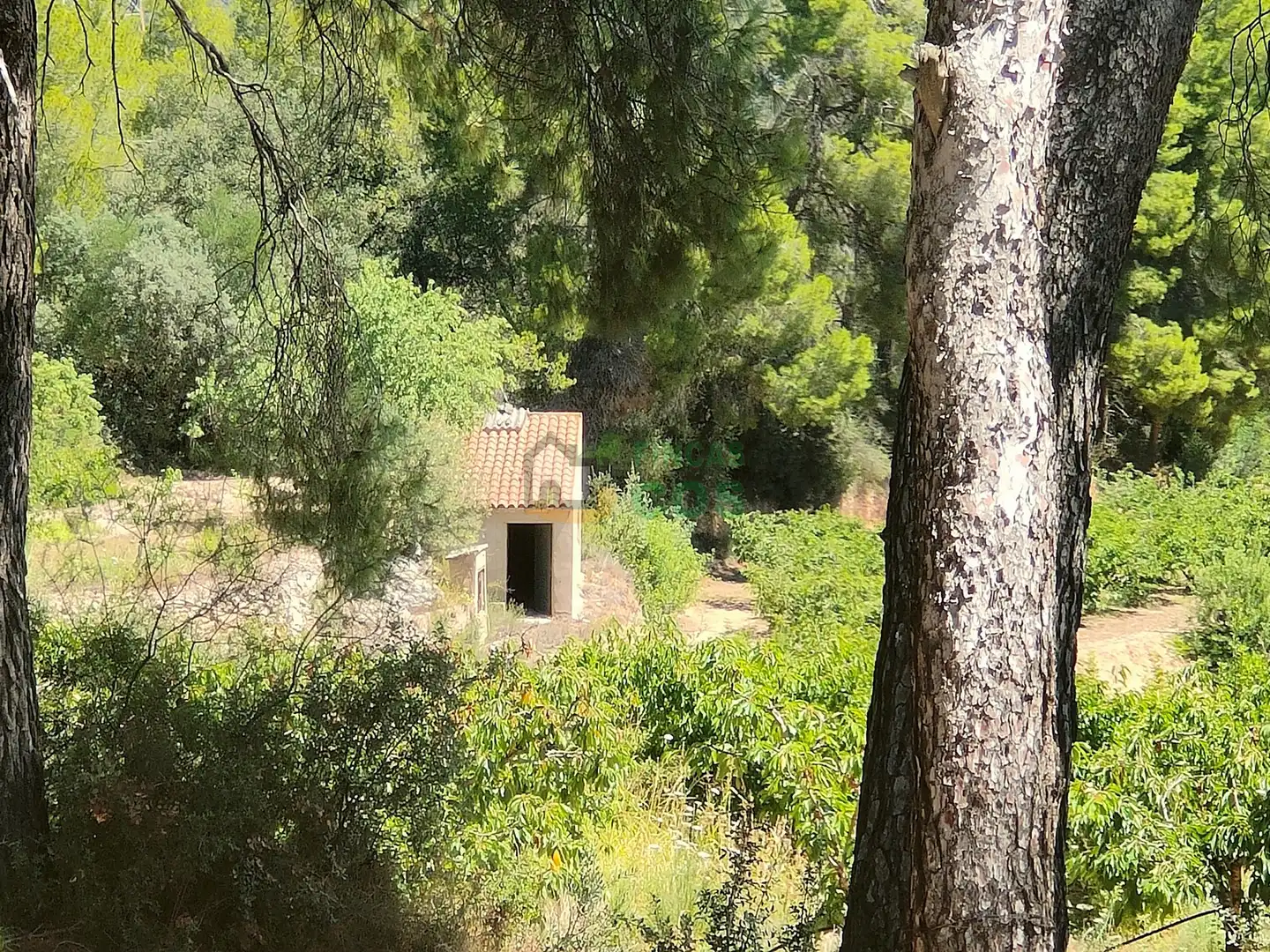Land for sale in Garcia