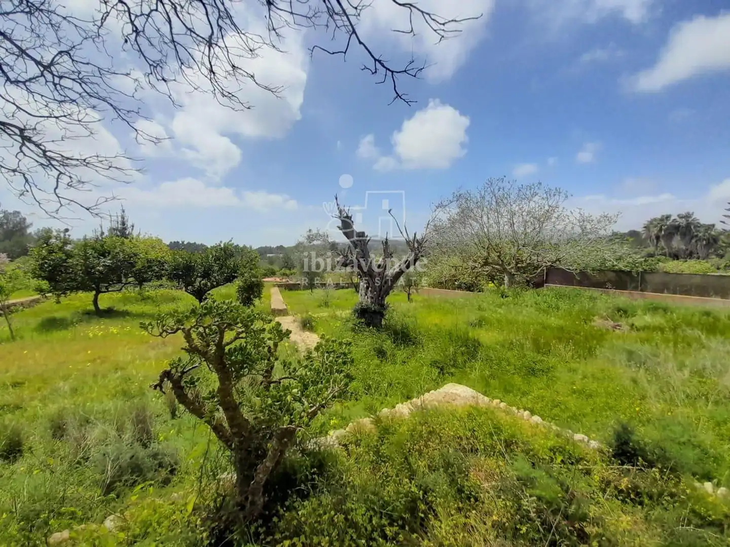 Casa con terraza en venta en Ca Na Negreta - Can Ramón, imagen 2