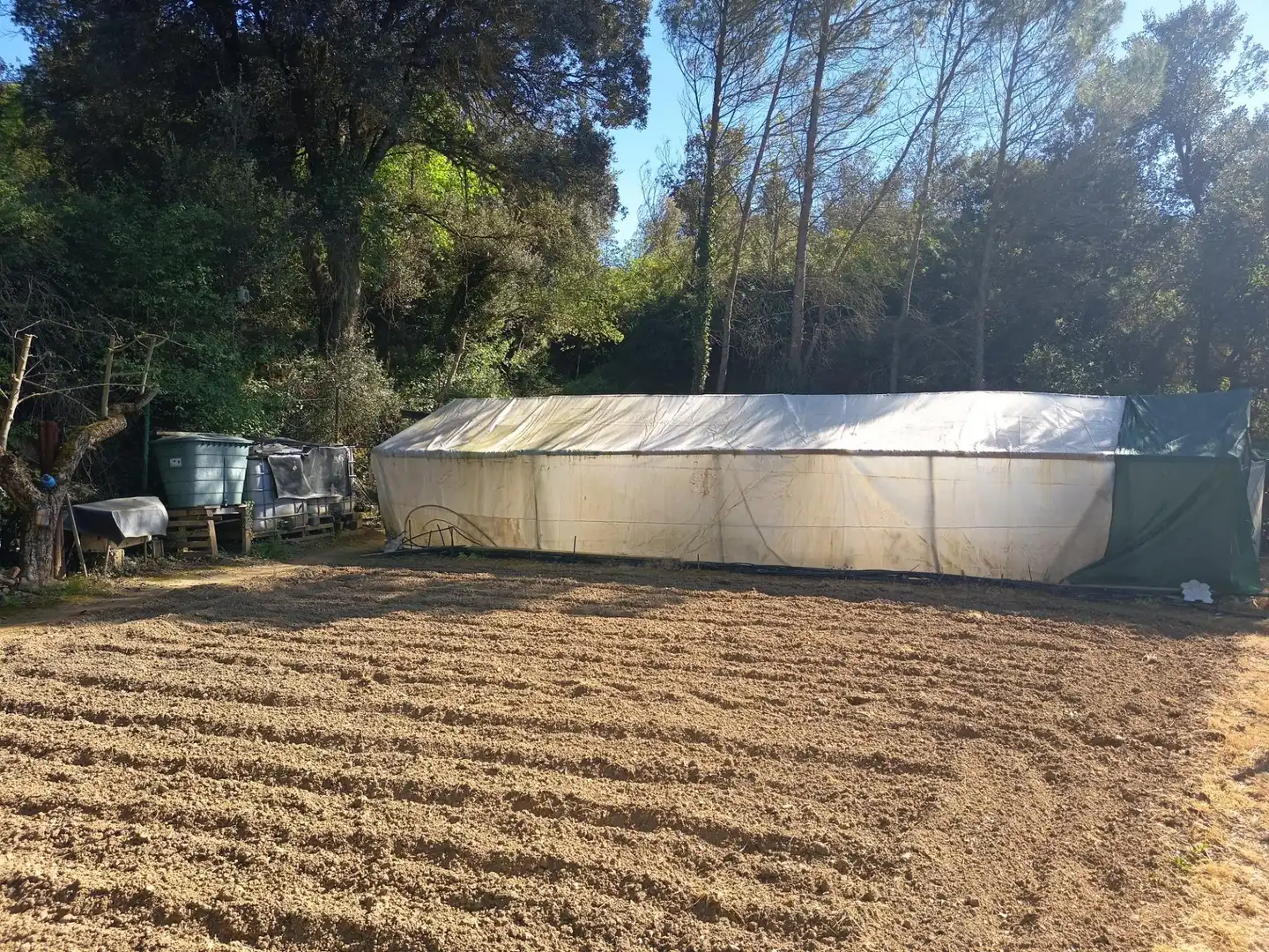 Garden of Land for sale in Leoz / Leotz