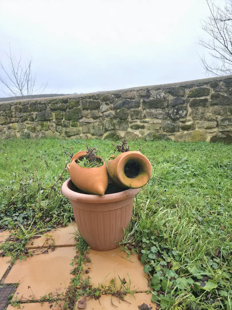 Jardí de Casa o xalet en venda en Aguilar de Campoo amb Calefacció, Jardí privat i Moblat