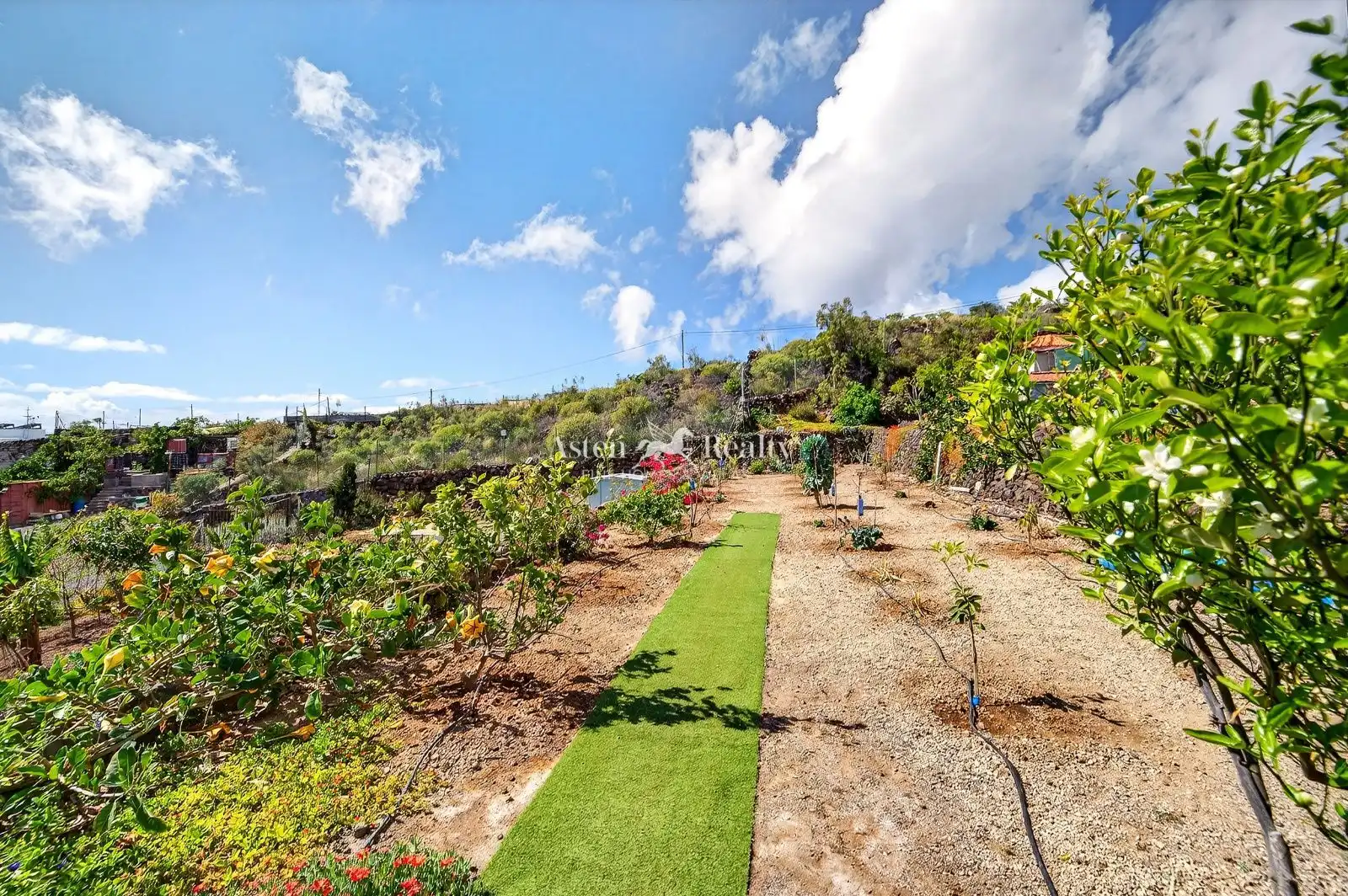 Maison avec piscine à vendre à Los Tomateros, imagen 37