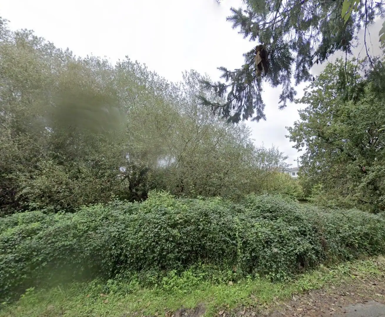 Lands and plots for sale in Santa María de Getxo, imagen 23