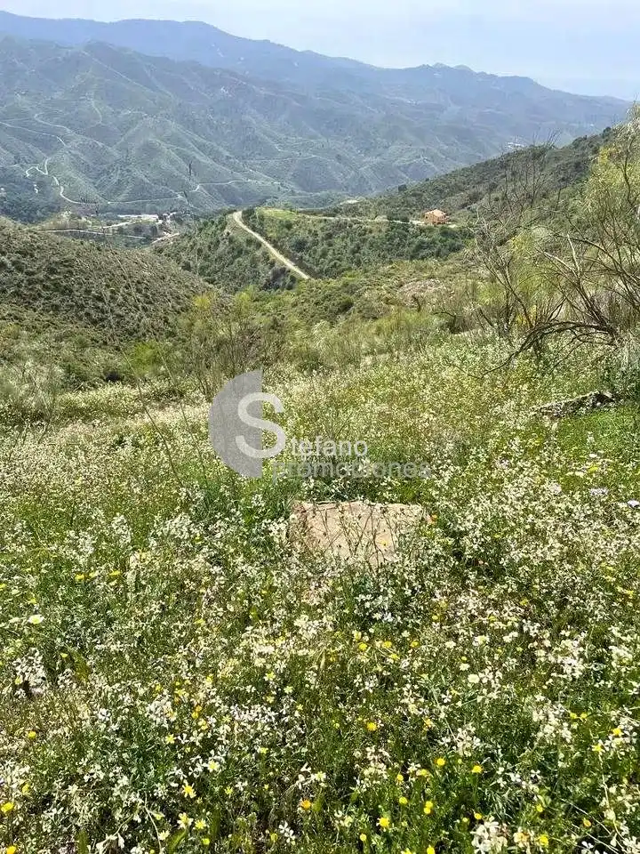Casa rústica en venda a Residencial Jardín Botánico, imagen 11