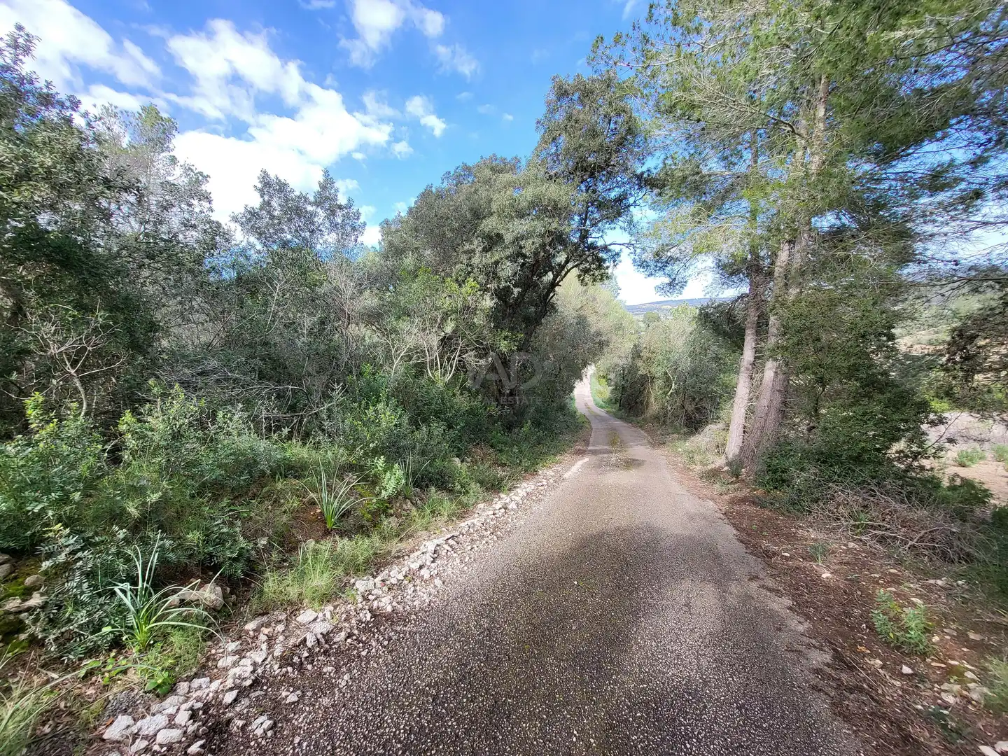 Exterior view of Residential for sale in Sant Joan