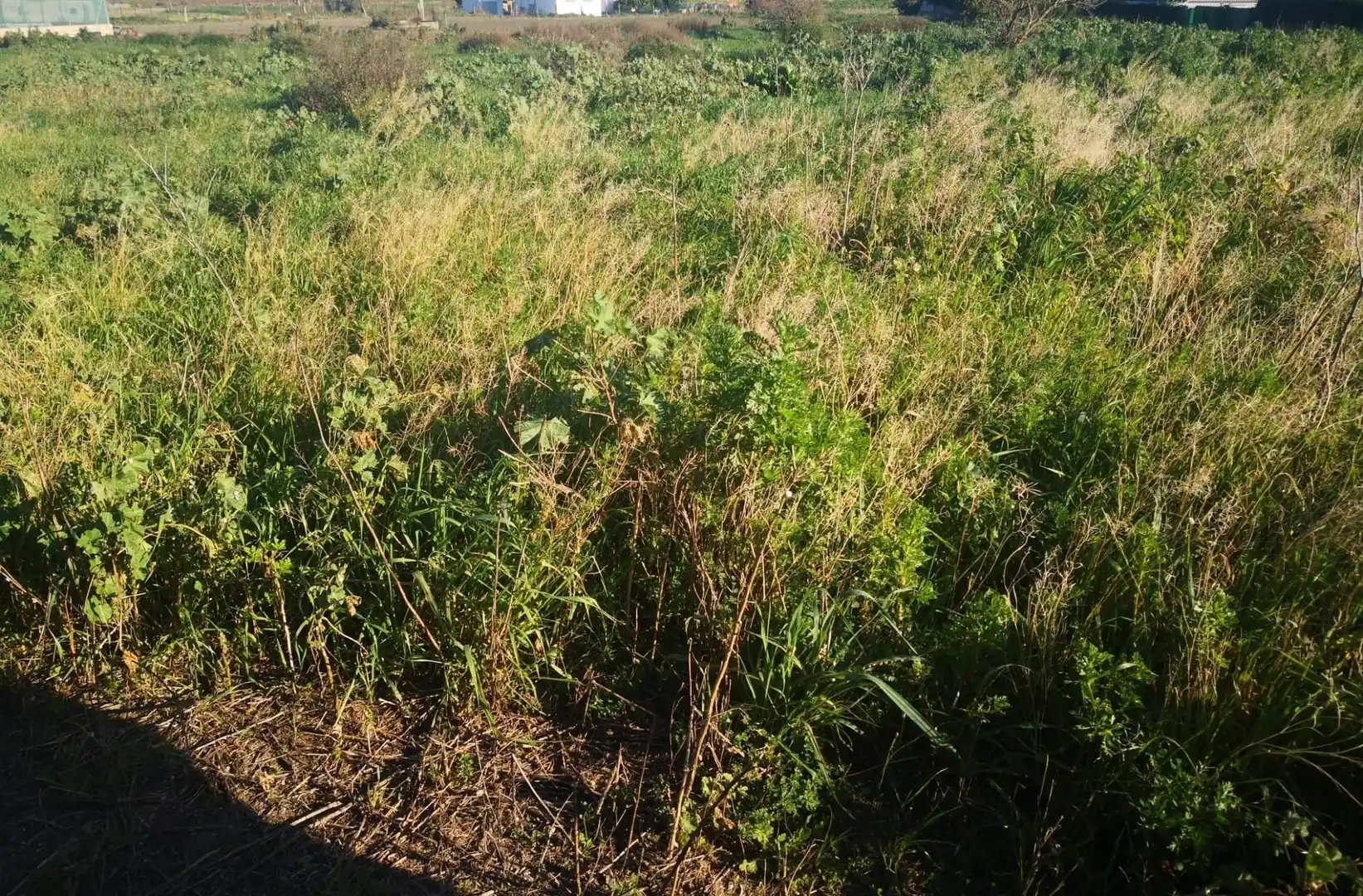 Terreno rustico in vendita a Barbate ciudad, imagen 13