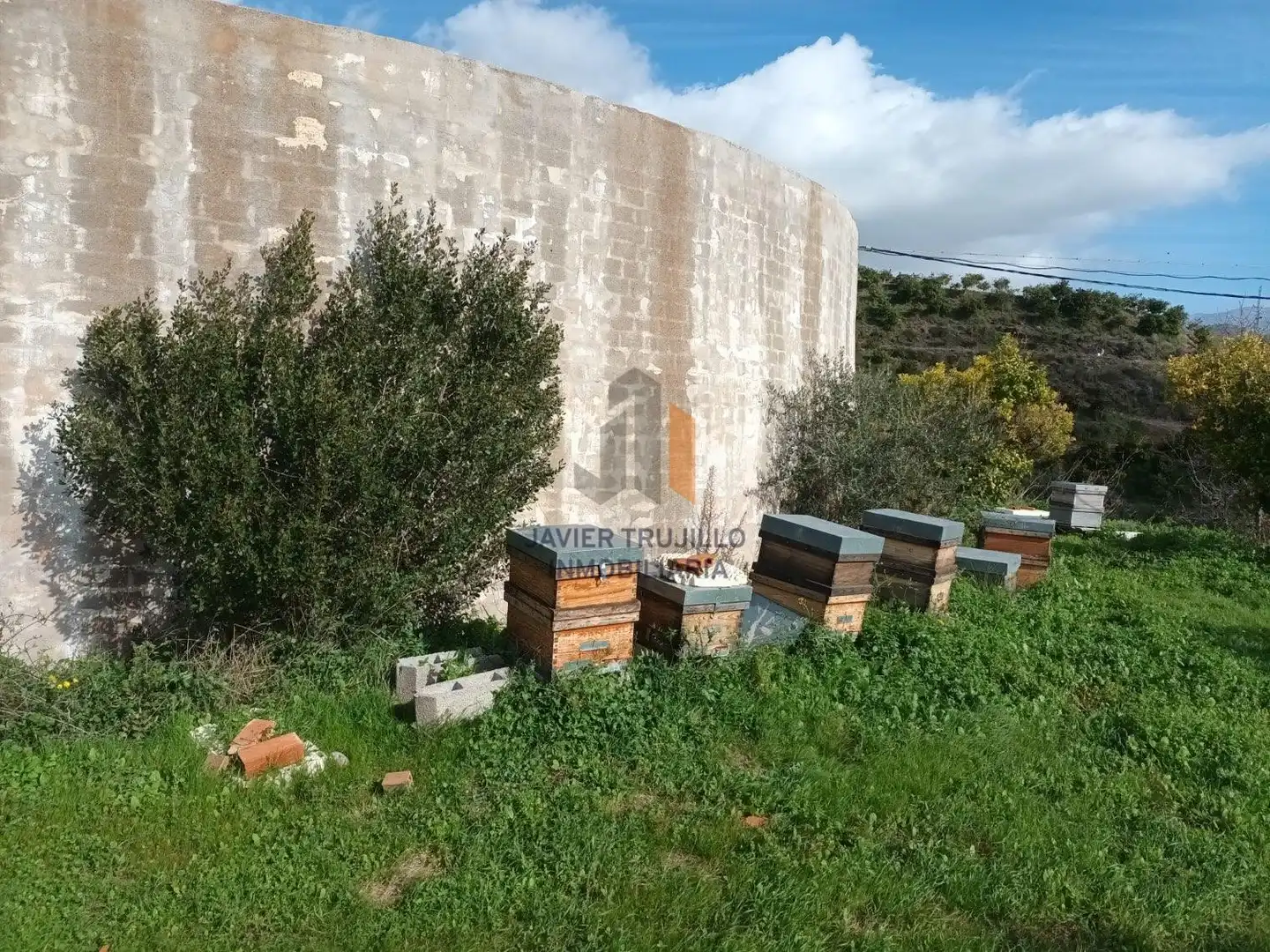Vista exterior de Finca rústica en venta en Cútar con Terraza, Trastero y Piscina