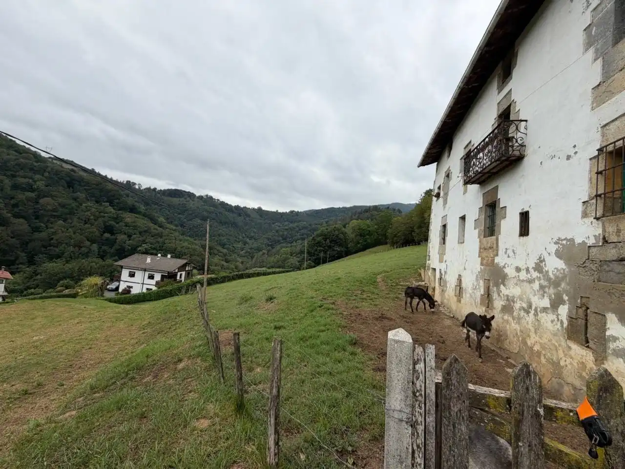 Exterior view of Houses for sale in Hernialde  with Private garden, Terrace and Furnished