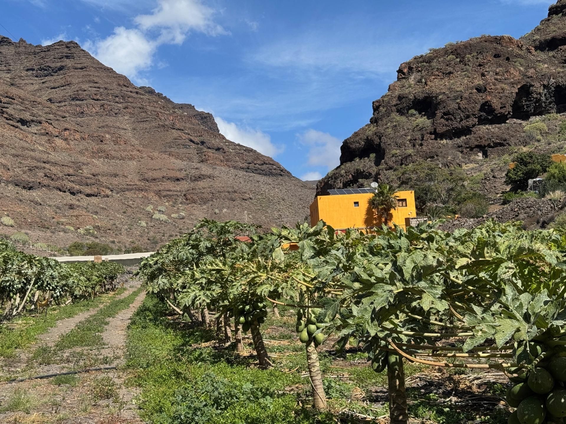 Vista exterior de Finca rústica en venda en La Aldea de San Nicolás 