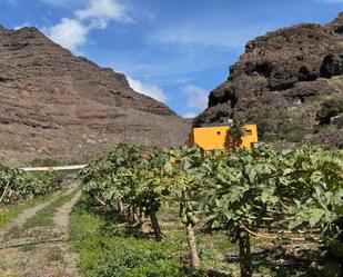 Vista exterior de Finca rústica en venda en La Aldea de San Nicolás 